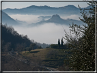 foto Colline Marosticane nella Nebbia